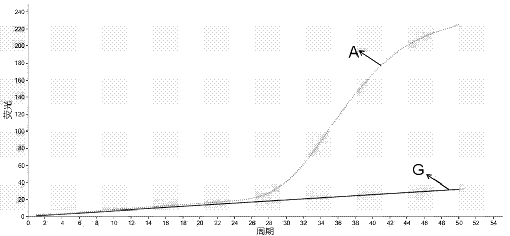 Quick detection kit for the CYP2C19*2 genetype and detection method thereof