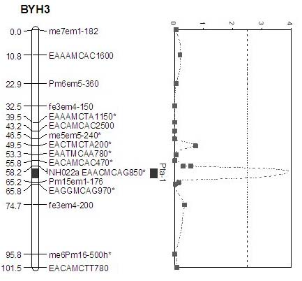 Molecular marker of Pyrus communis L. fruit titratable acid content