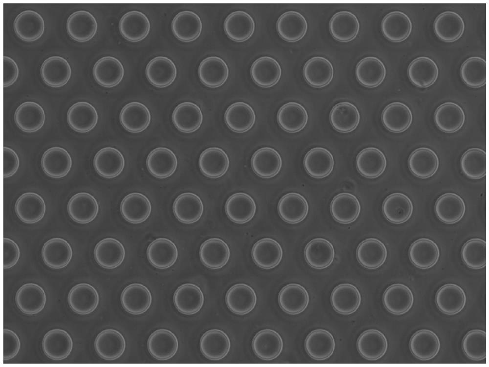 Ultrahigh-flux single cell sequencing method