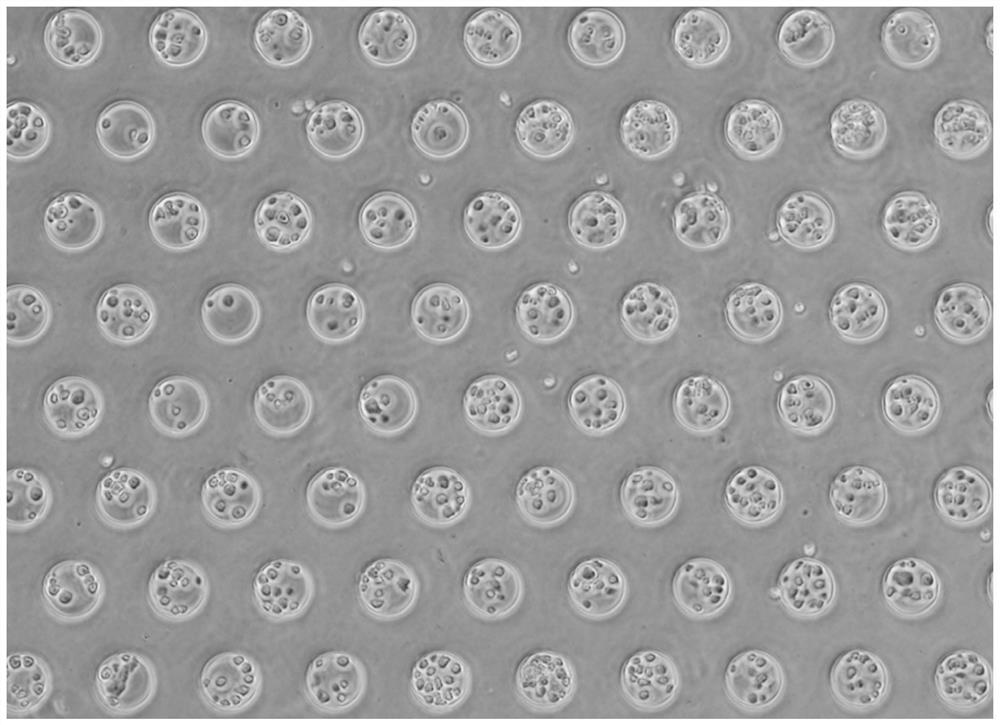 Ultrahigh-flux single cell sequencing method