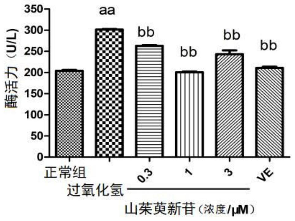 The use of new cornus glycosides in the preparation of medicaments for the treatment of Alzheimer's disease