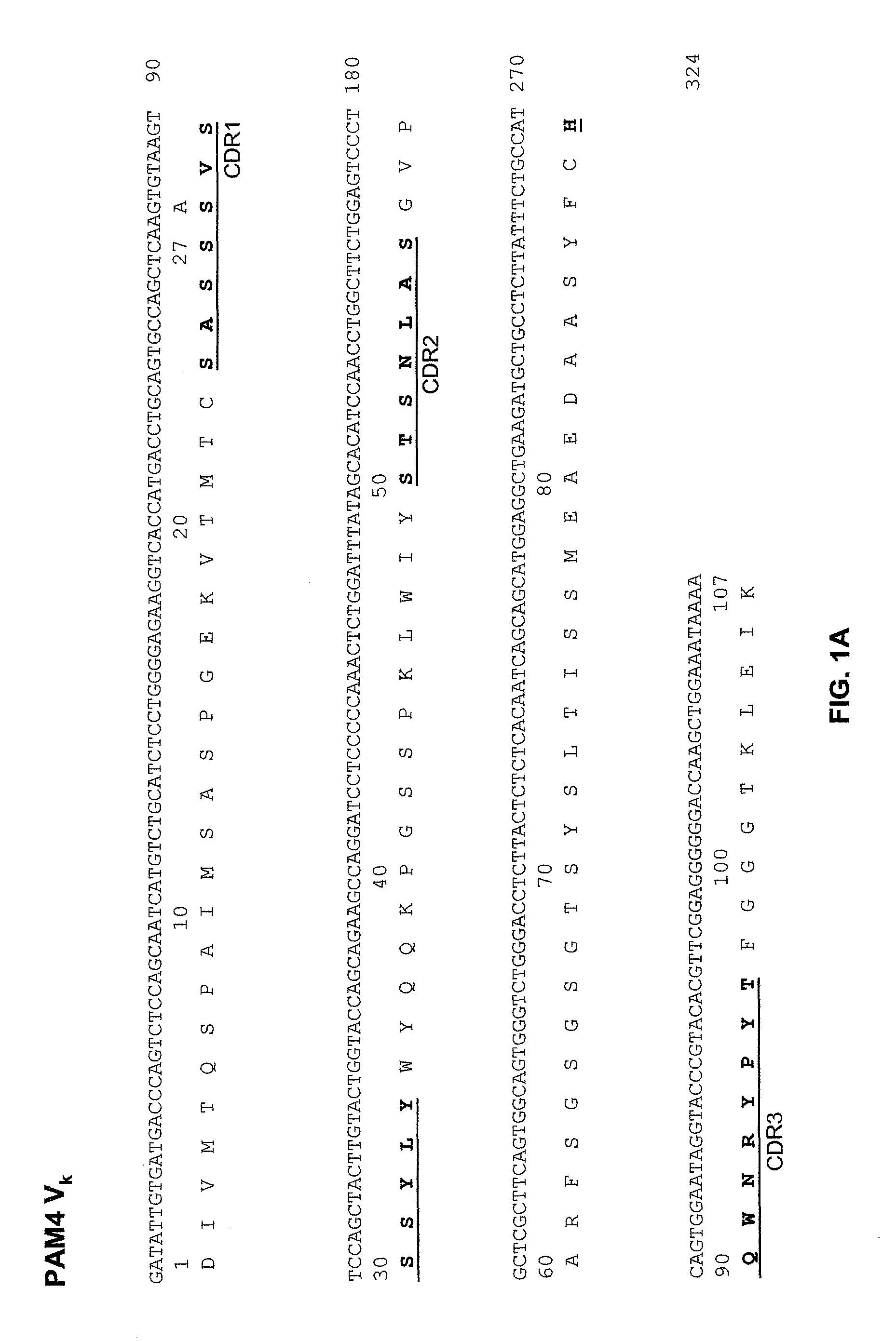 Anti-pancreatic cancer antibodies