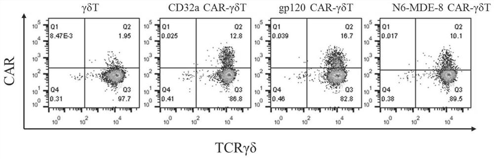 A bispecific chimeric antigen receptor, gene, construction method and application for treating HIV infection