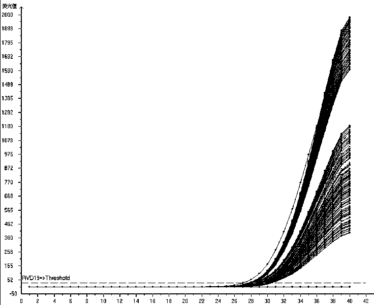 Multiplex fluorescence quantitative PCR kit for detecting 19 human respiratory viruses