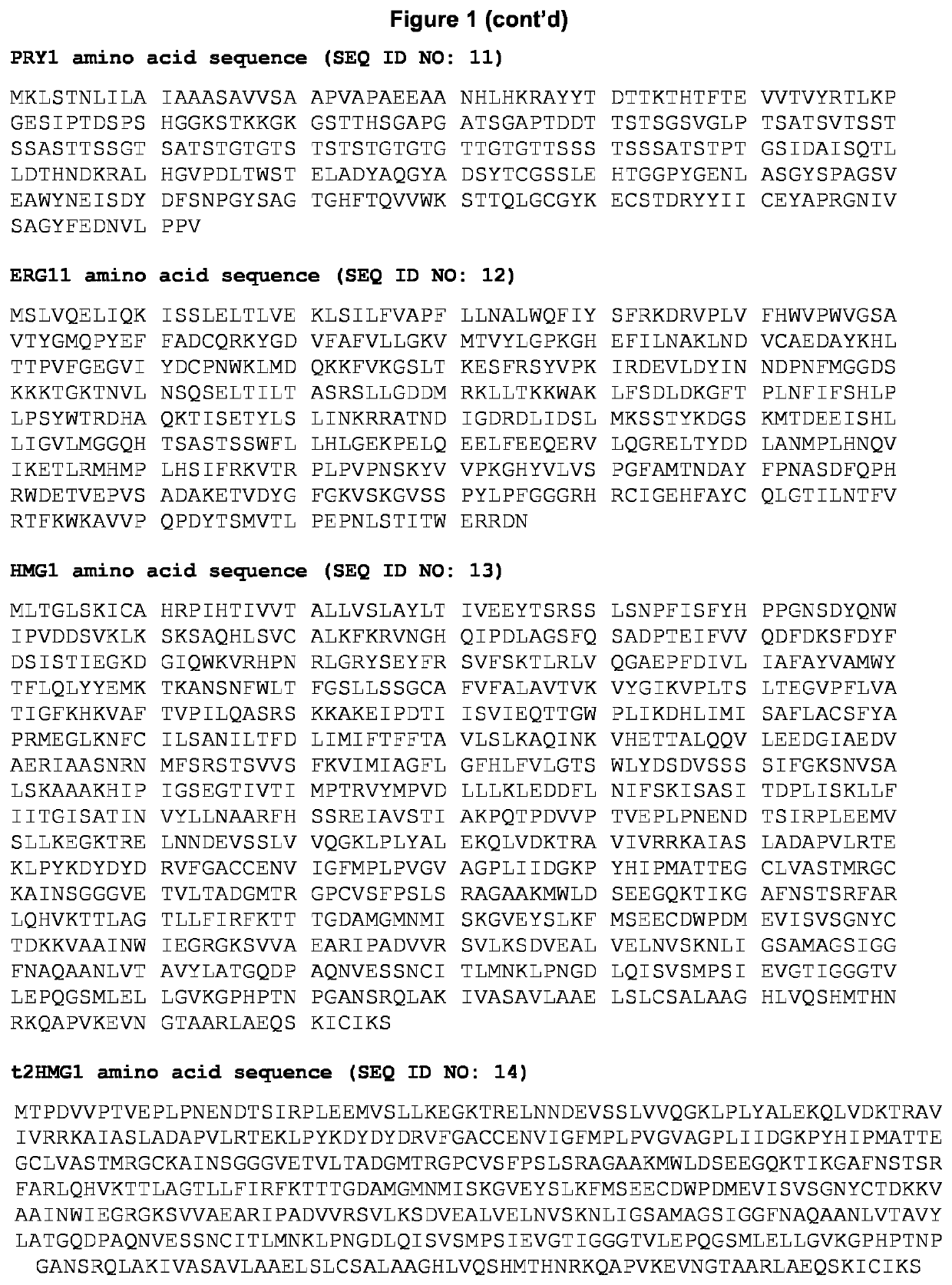 Recombinant host cell with altered membrane lipid composition