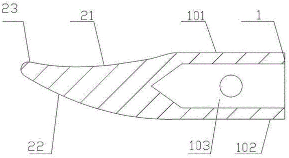 Bionic excavator bucket tooth