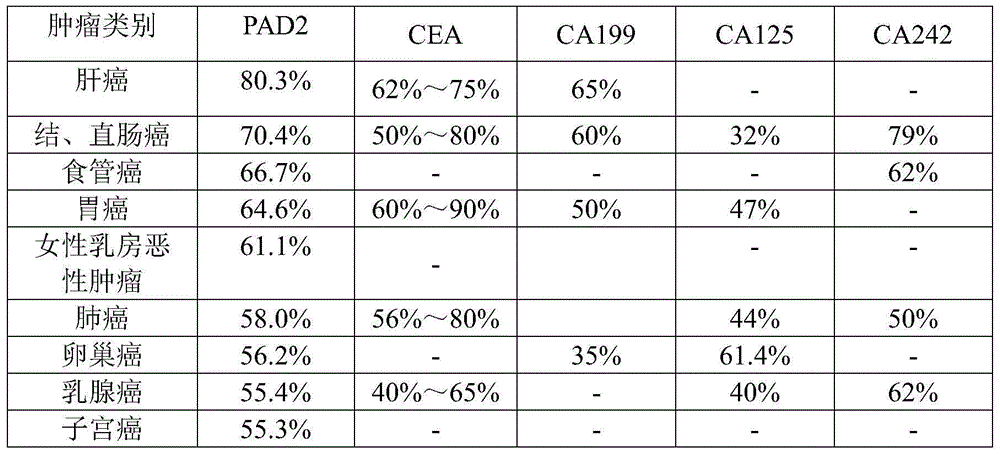 Application of peptidylarginine deiminase 2 (PAD2) to preparation of reagent for clinical diagnosis of tumors