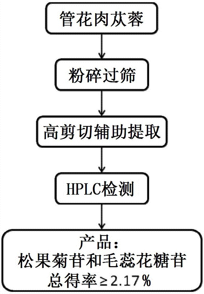 Method for extracting phenylethanoid glycosides substances from cistanche tubulosa and application thereof