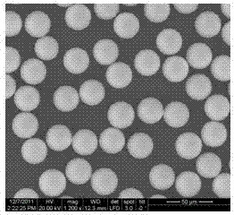 Polymer microsphere preparation method and polymer microsphere application