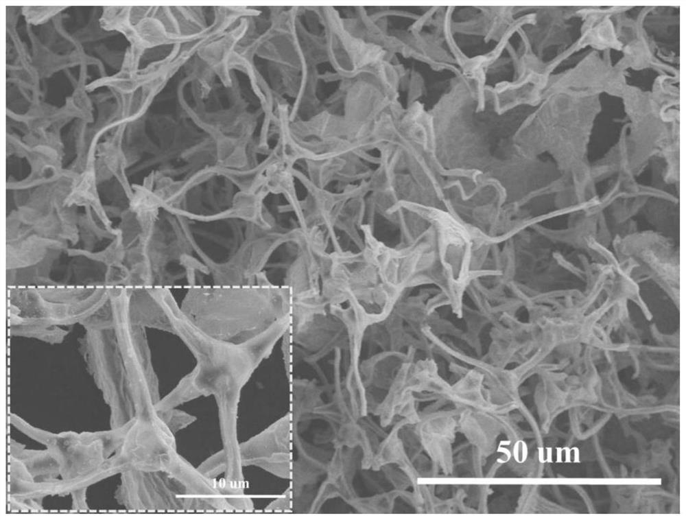 MXene/nitrogen-doped carbon foam composite material with 3D porous neuron-like structure and preparation method thereof