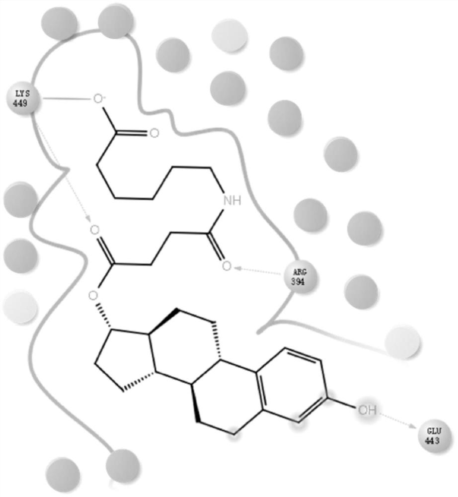 Estradiol derivative screening method for solid-phase recognition of estrogen receptor