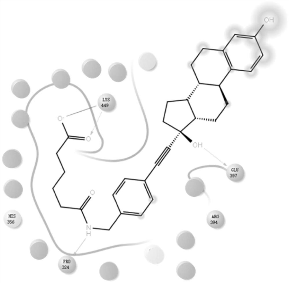 Estradiol derivative screening method for solid-phase recognition of estrogen receptor