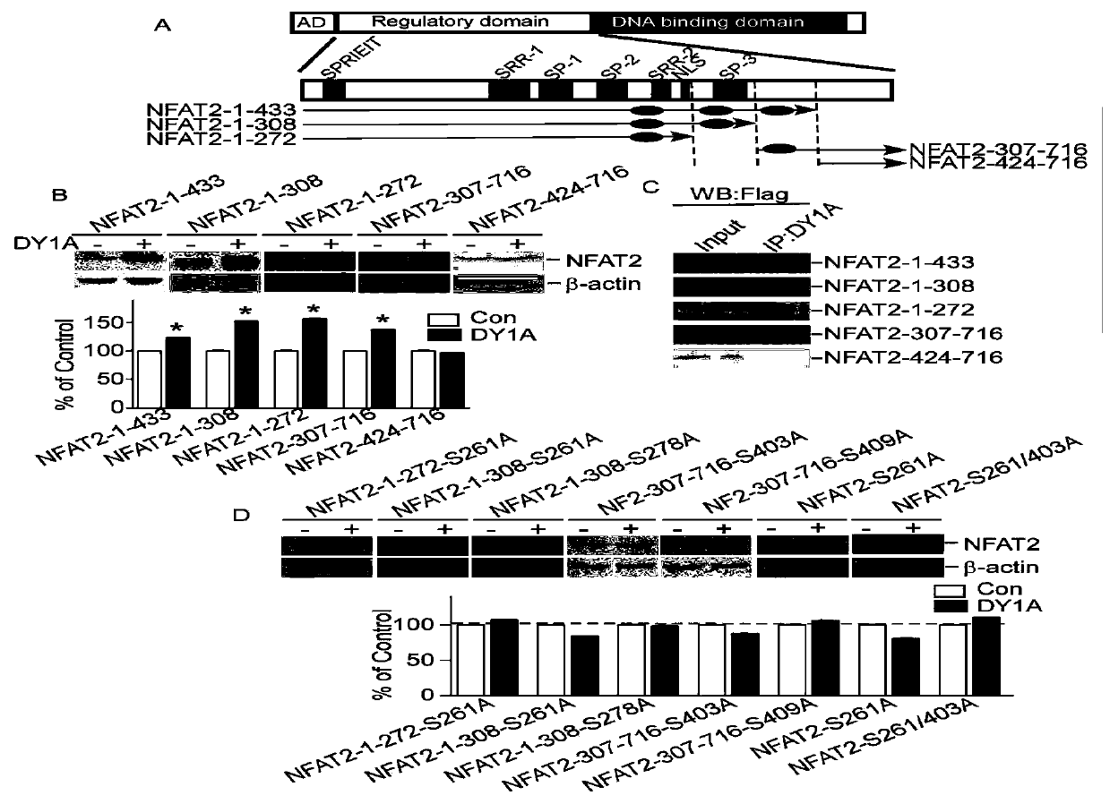 Fusion polypeptide and application of fusion polypeptide in preparing anti-tumor medicines