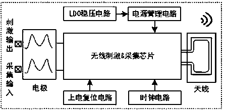 Loop control nerve experiment system for insect robot