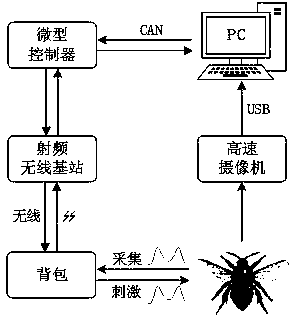 Loop control nerve experiment system for insect robot