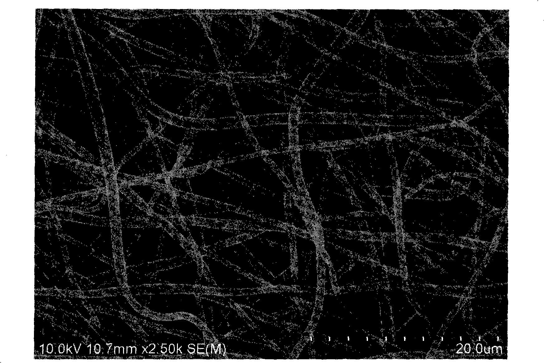 Polylactic acid electrospinning fibre immobilized laccase and preparation thereof