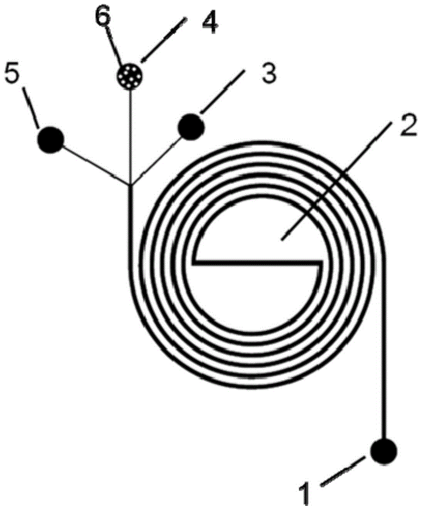 A double helix microfluidic chip