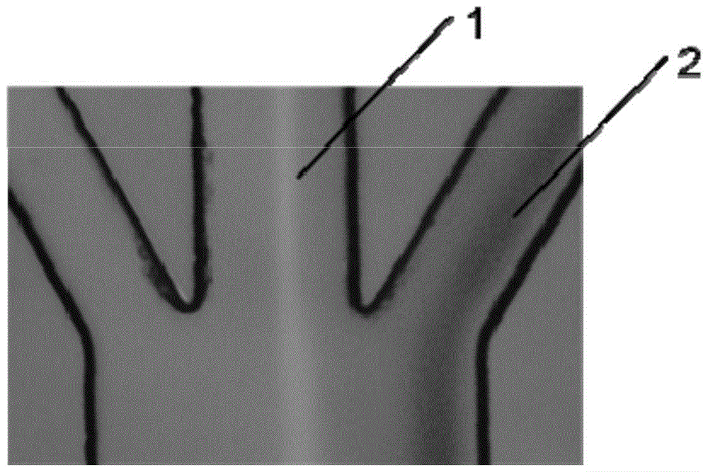 A double helix microfluidic chip