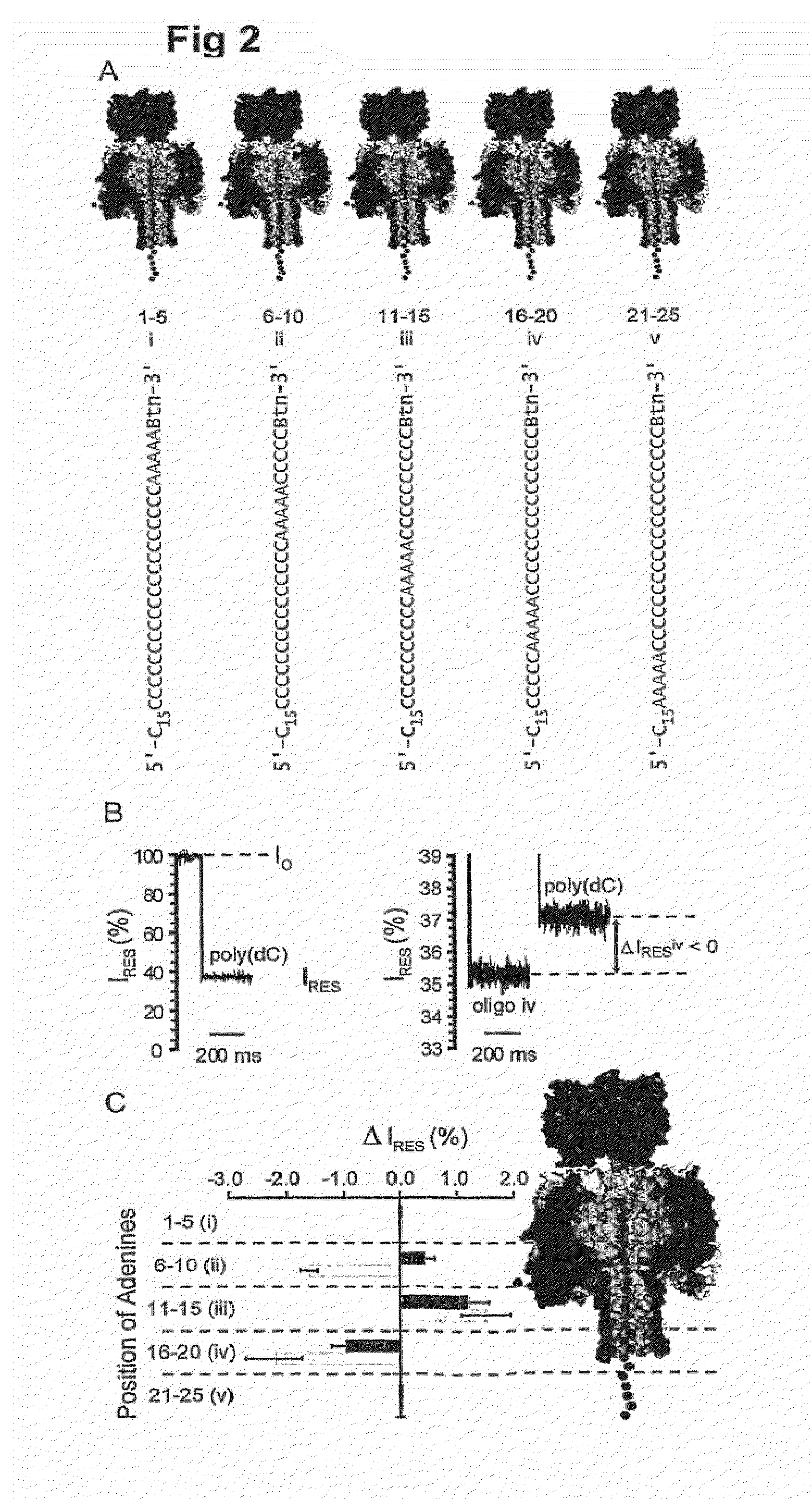 Method for sequencing a heteropolymeric target nucleic acid sequence