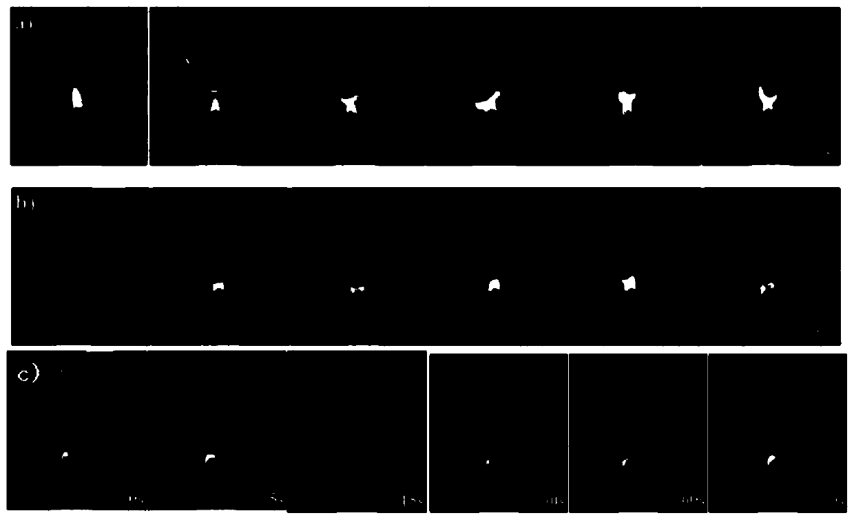 Silicotungstic acid intercalated multi-component hydrotalcite-like lightweight thermal insulation material and preparation method thereof