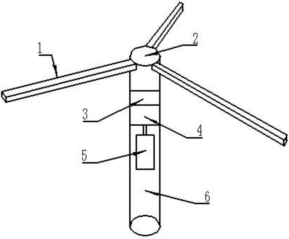 Exercise system for breeding beef