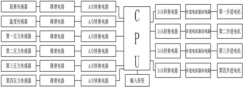 Exercise system for breeding beef