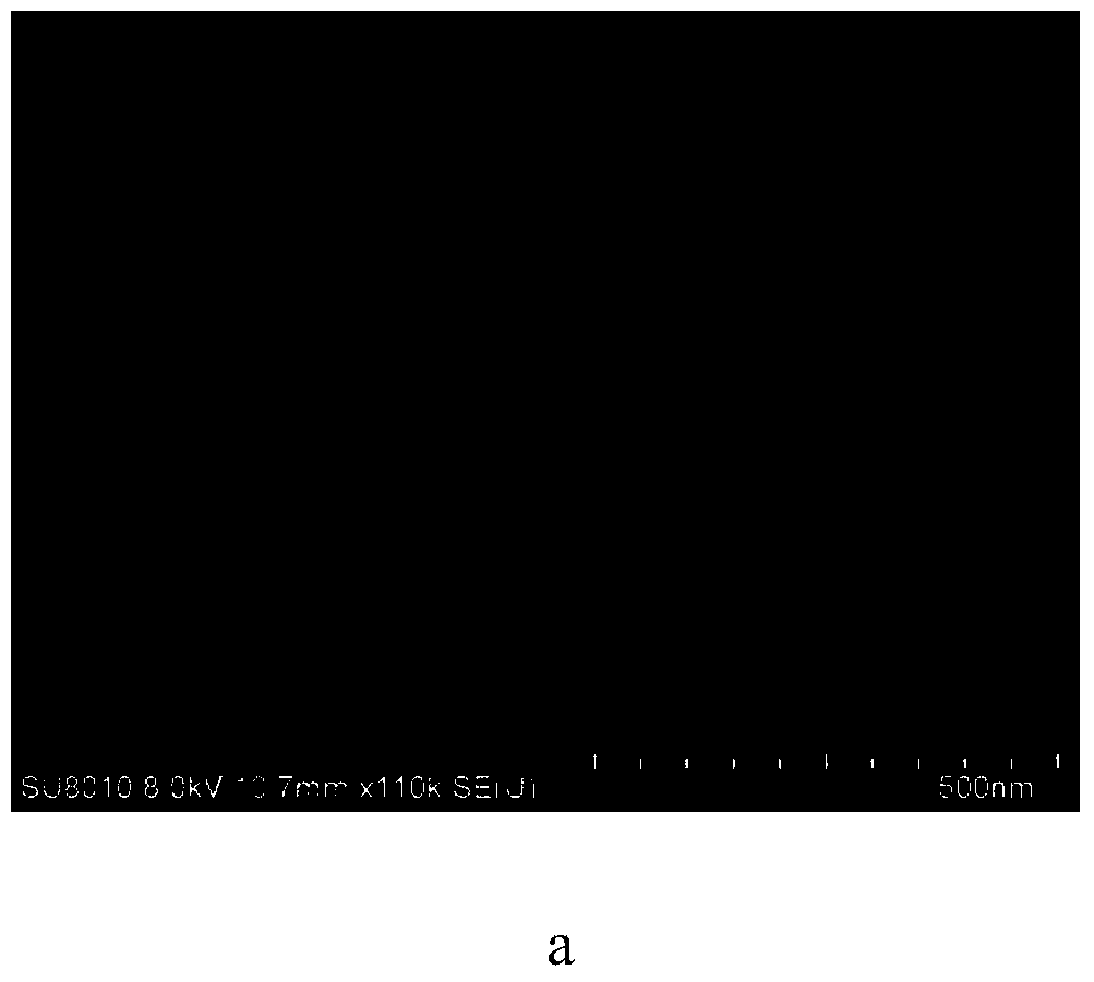 Manufacturing method of OLED of double-face submicron order structure