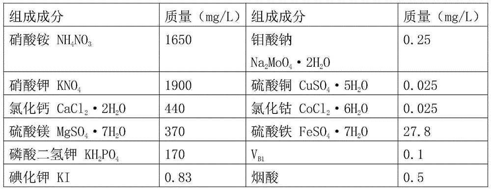 Rapid breeding method of anoectochilus zhejiangensis Z.Wei&Y.B.Chang seedlings