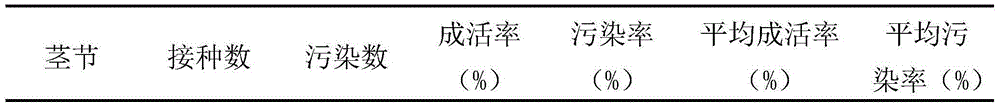 Rapid breeding method of anoectochilus zhejiangensis Z.Wei&Y.B.Chang seedlings