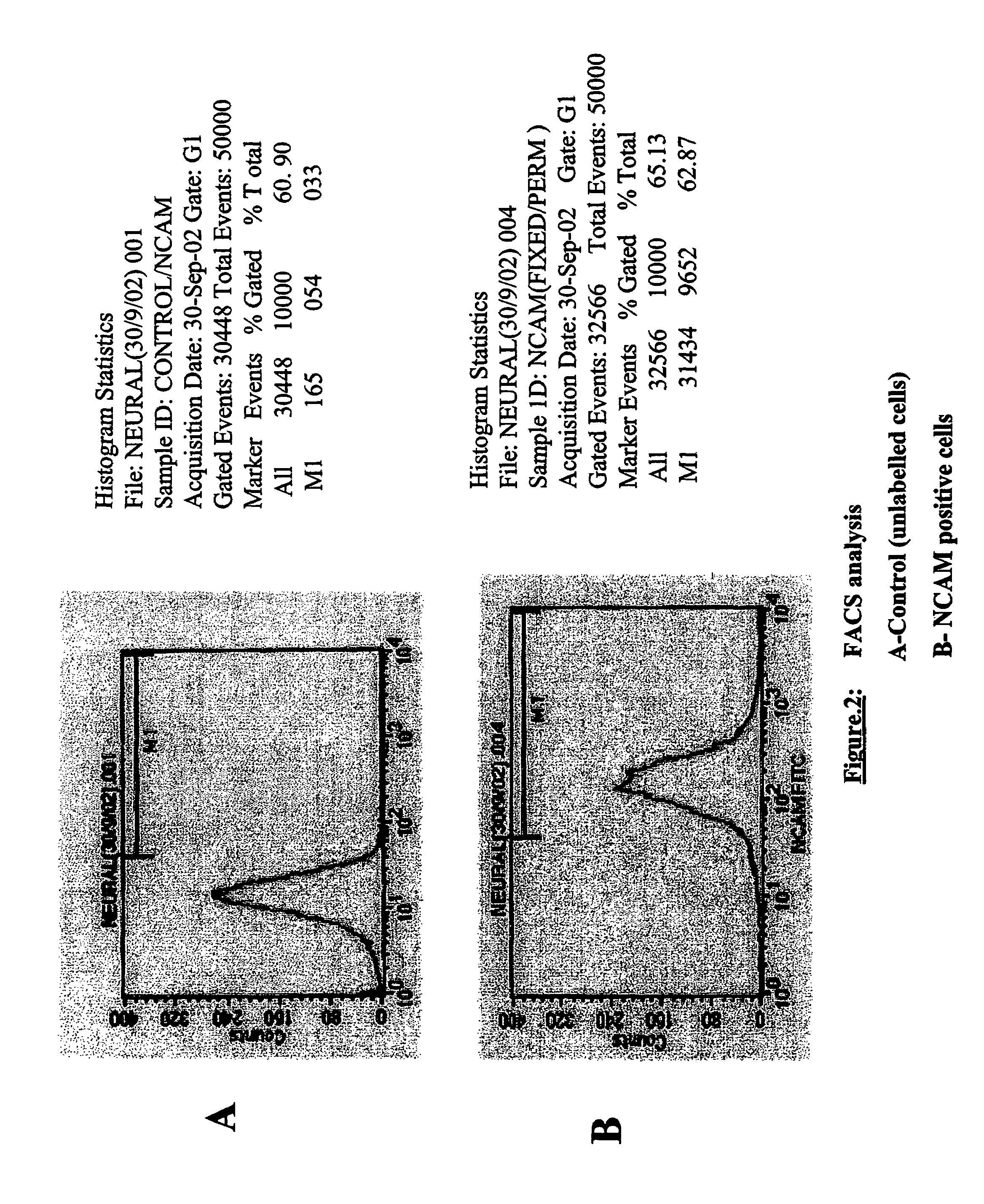 Derivation of terminally differentiated dopaminergic neurons from human embryonic stem cells