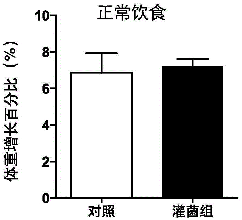 Application of bacteroides intestinalis DSM 17393 strain