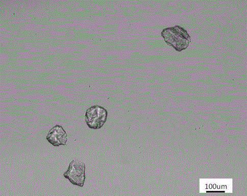 Method for hydrothermal technology synthesis of calcium sulfate hemihydrates powder particles