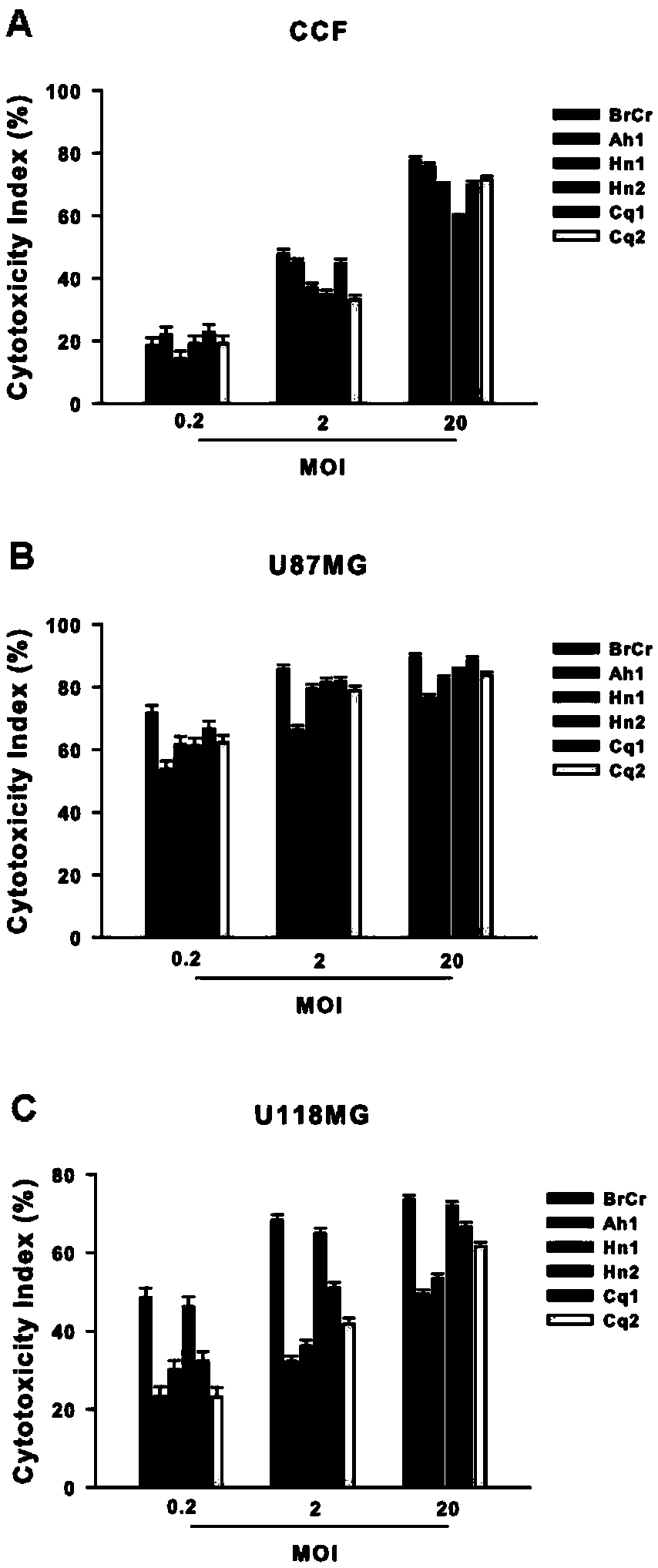 Application of enterovirus type-71 in preparing oncolytic medicine