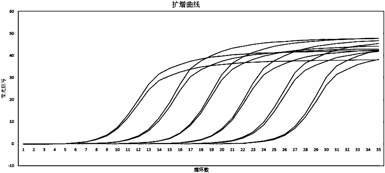 Quantitative standard substance applied to qPCR (quantitative Polymerase Chain Reaction) accurate quantification of Illumina platform next generation sequencing sample and duplication method thereof