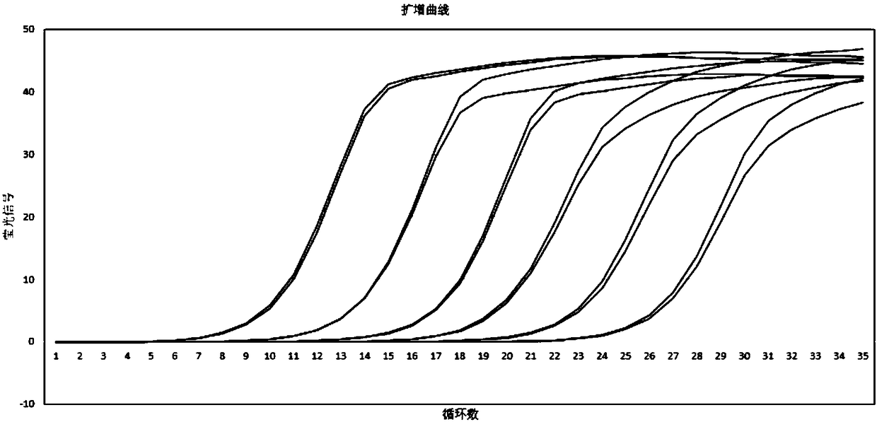 Quantitative standard substance applied to qPCR (quantitative Polymerase Chain Reaction) accurate quantification of Illumina platform next generation sequencing sample and duplication method thereof