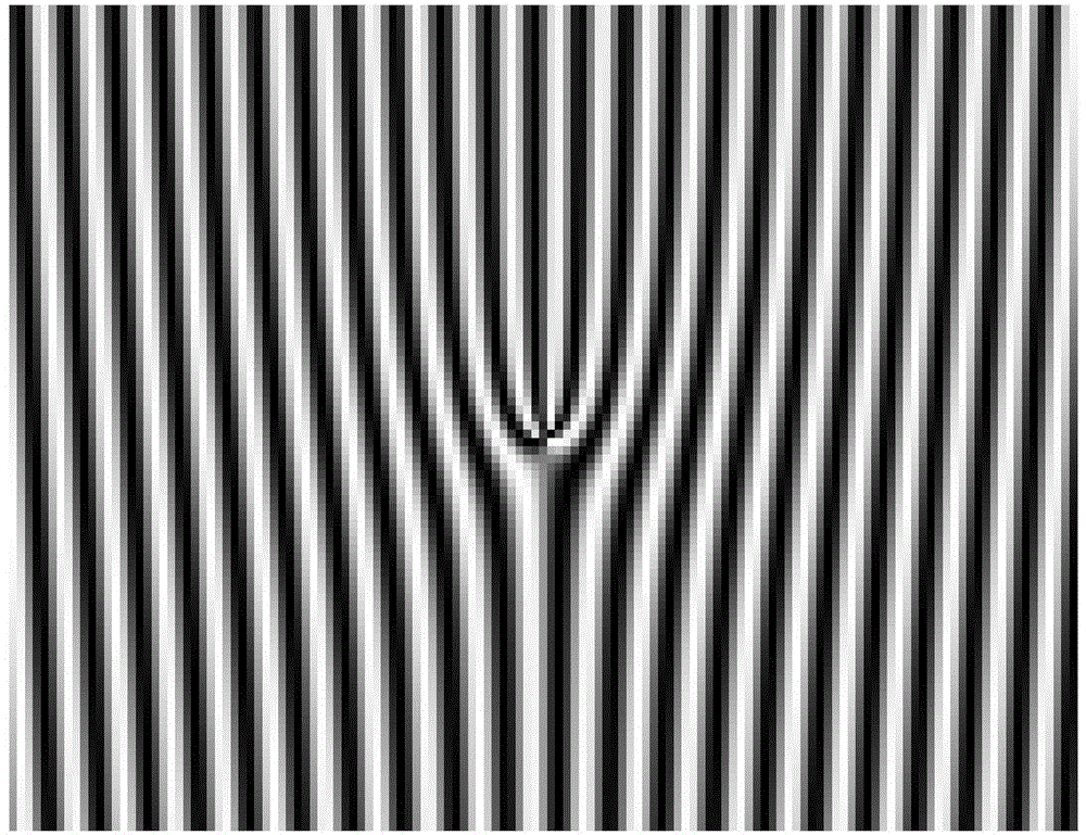 Vortex light lighting-based dark field digital holographic microscopy device and method