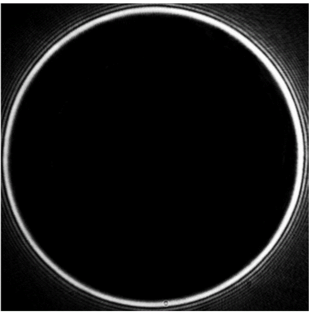 Vortex light lighting-based dark field digital holographic microscopy device and method