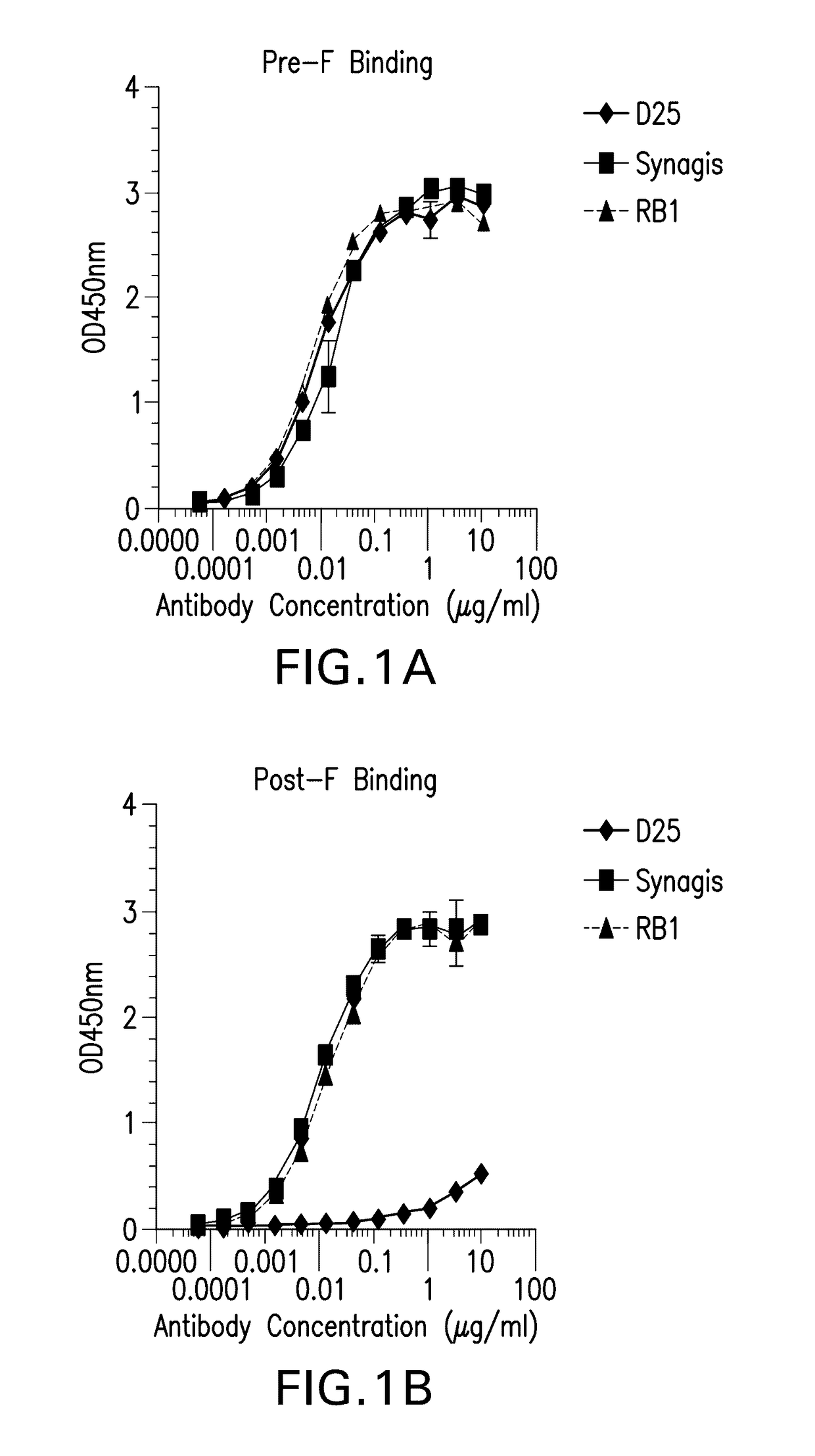 Antibody neutralizing human respiratory syncytial virus