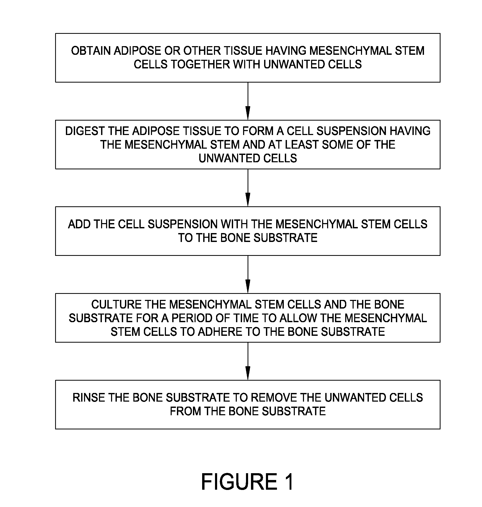 Allografts combined with tissue derived stem cells for bone healing