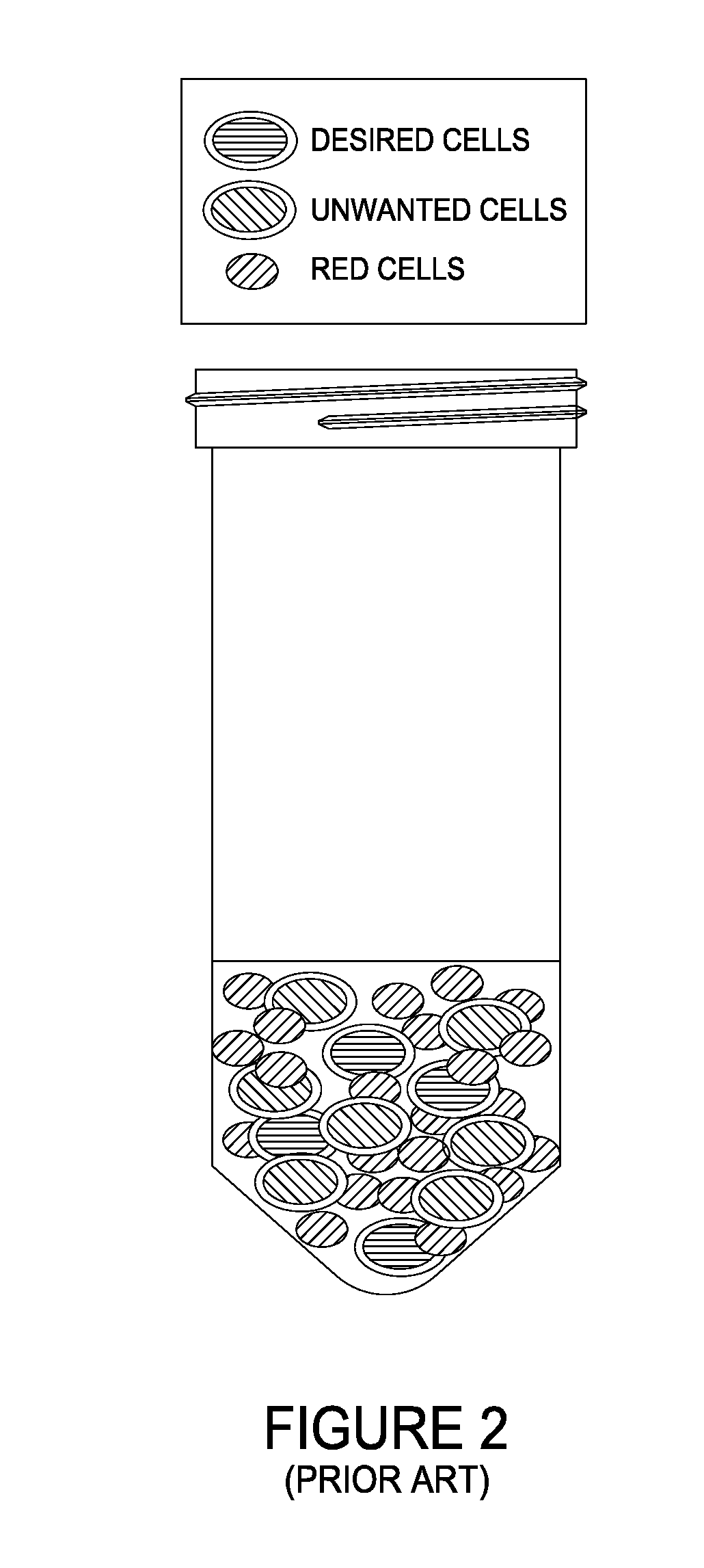 Allografts combined with tissue derived stem cells for bone healing