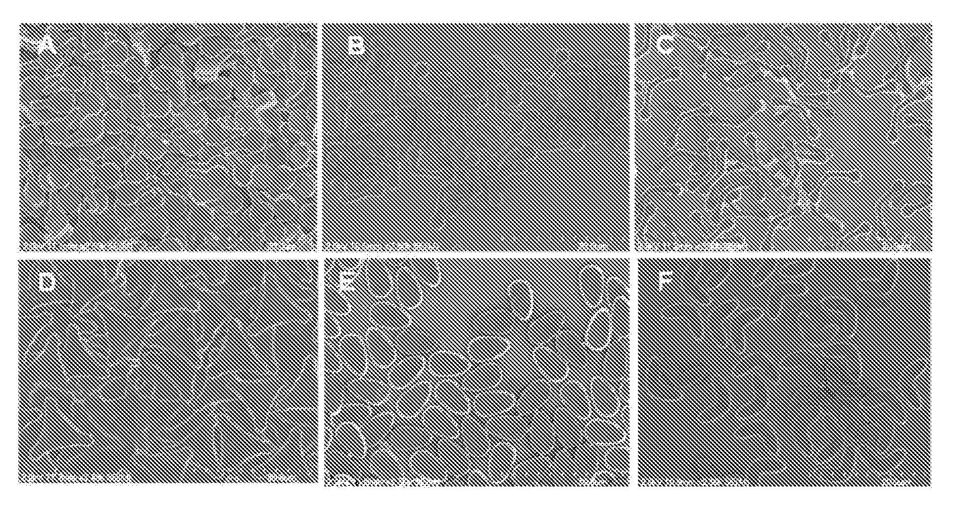 Engineered Aerosol Particles, And Associated Methods