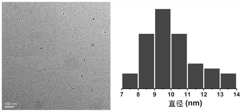 Carbon quantum dot fluorescent probe for lipid droplet specific labeling as well as preparation method and application thereof