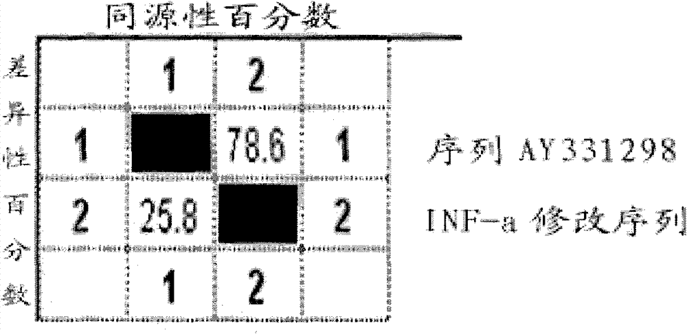 Gene segments for coding alpha interferons of pigs and application thereof