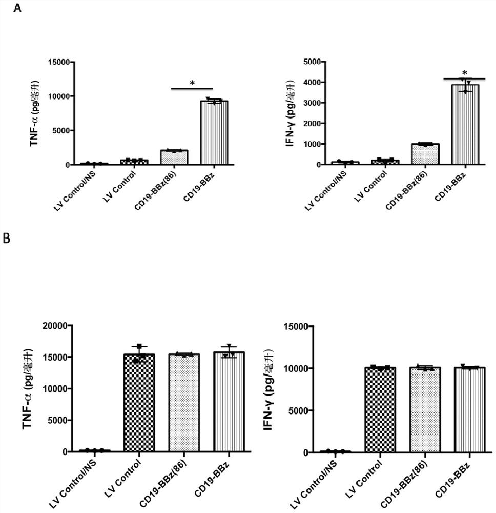 Improved anti-cd19 CAR-T cells