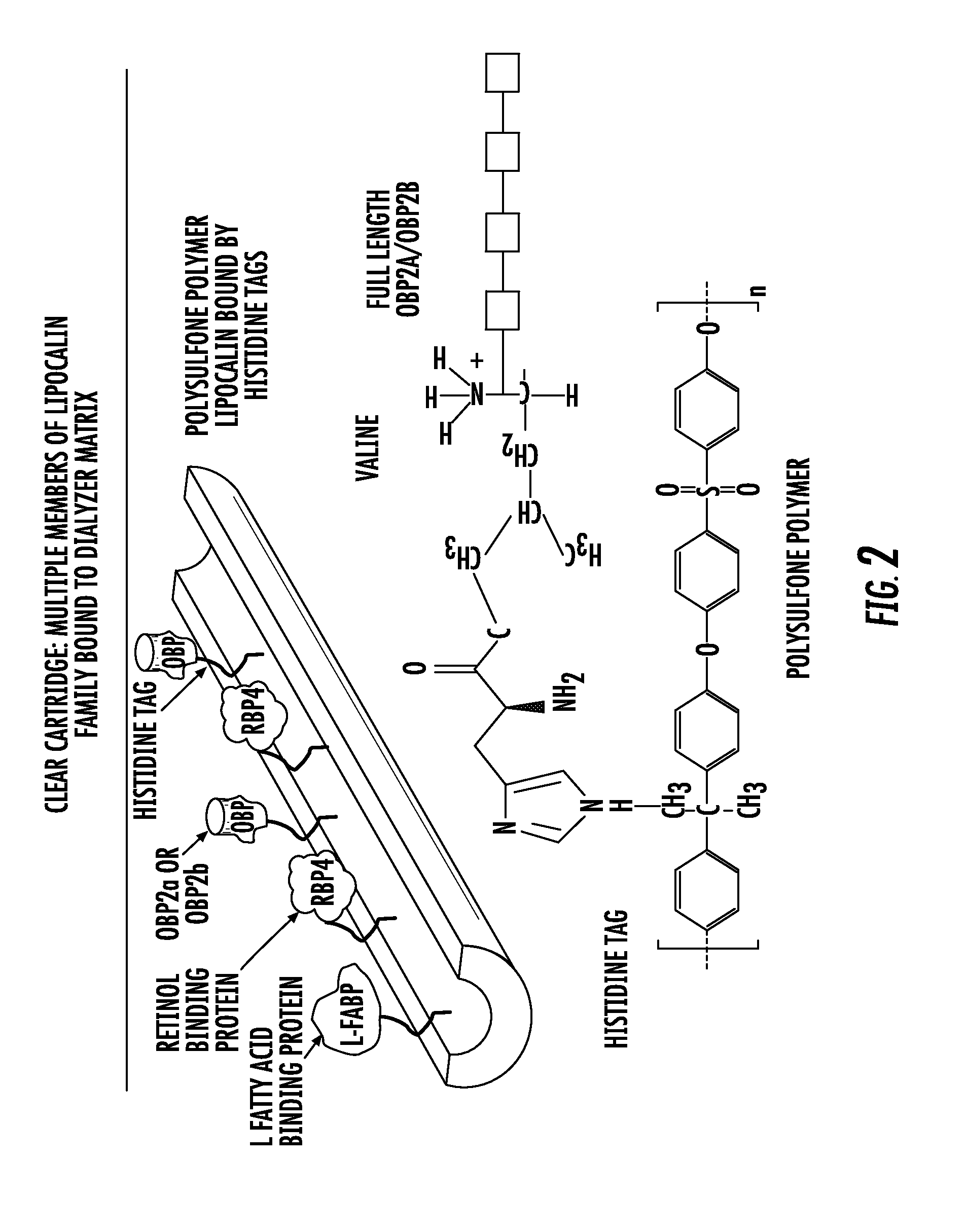 Methods and apparatus for kidney dialysis and extracorporeal detoxification