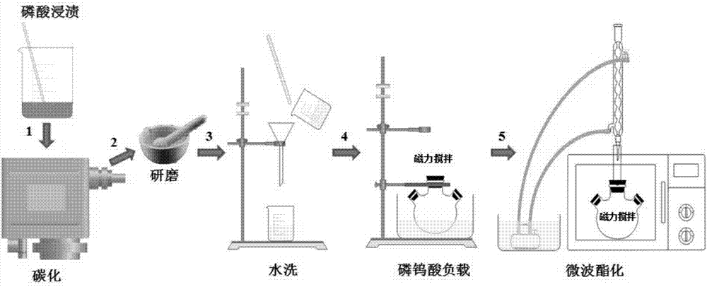 Bamboo-carbon-based solid acid catalyst for biodiesel and preparation method and application of bamboo-carbon-based solid acid catalyst