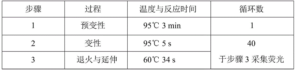 CYP2C19*2 detection parting kit based on probe AllGlo and parting method of CYP2C19*2 detection parting kit