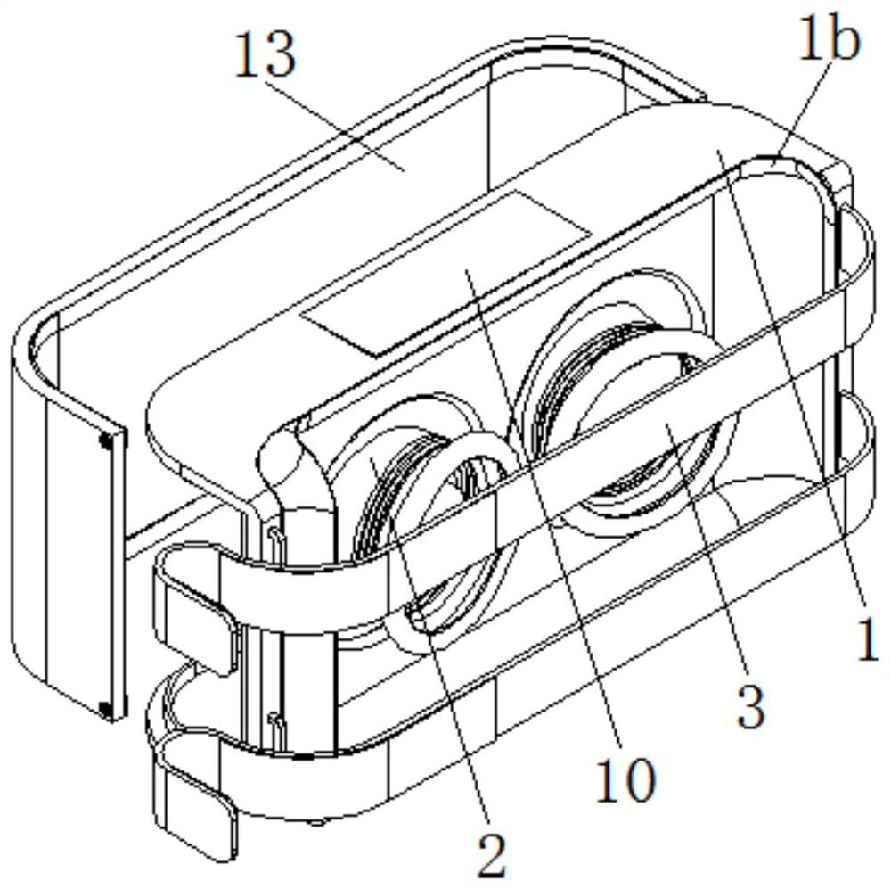 A kind of mastitis conditioning device