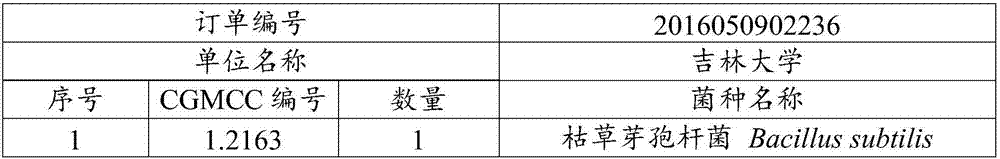 Composite microbial agent for increasing antioxidant activity of fermented soya beans as well as preparation method and application thereof