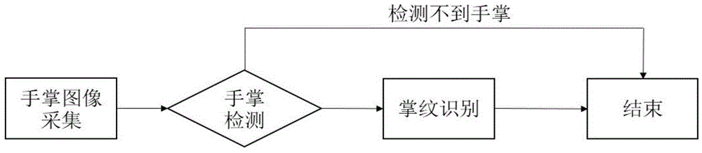 Palm detection method and palm detection system for palm image